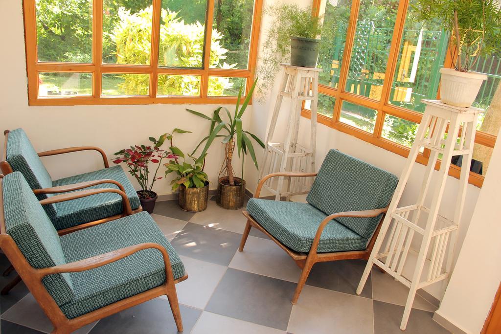 Zeravica Rooms B&B Sremski Karlovci Exterior photo